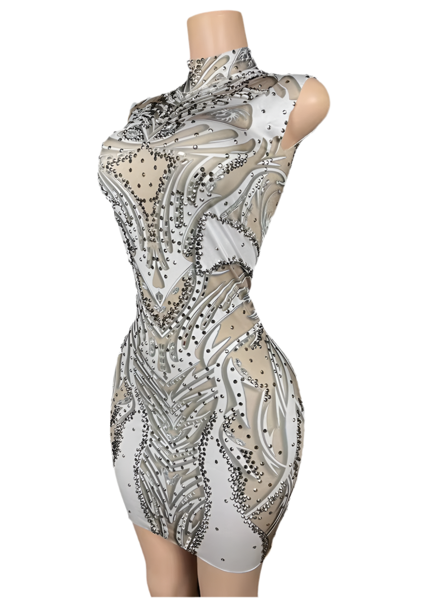 Crystal Frost Mini Dress – Silver Rhinestone Birthday & Party Outfit