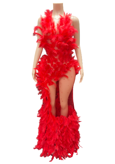 Scarlet Savage Siren Gown – Luxury Red Feather Illusion High Slit Dress