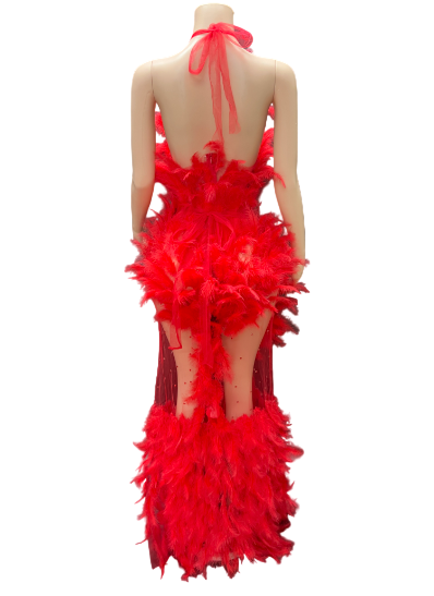 Scarlet Savage Siren Gown – Luxury Red Feather Illusion High Slit Dress
